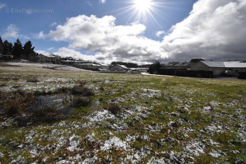 Terrain à SAINT-AGREVE