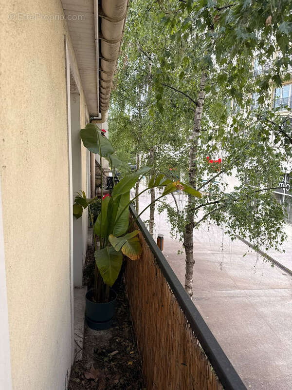 Appartement à MAISONS-ALFORT