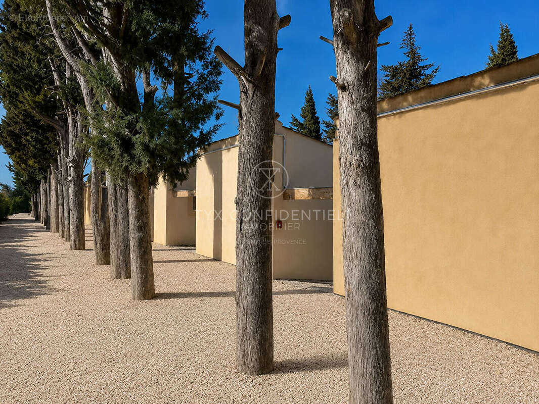Maison à SAINT-REMY-DE-PROVENCE