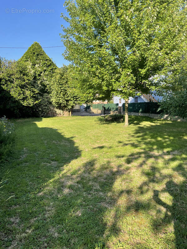 Terrain à AVOLSHEIM