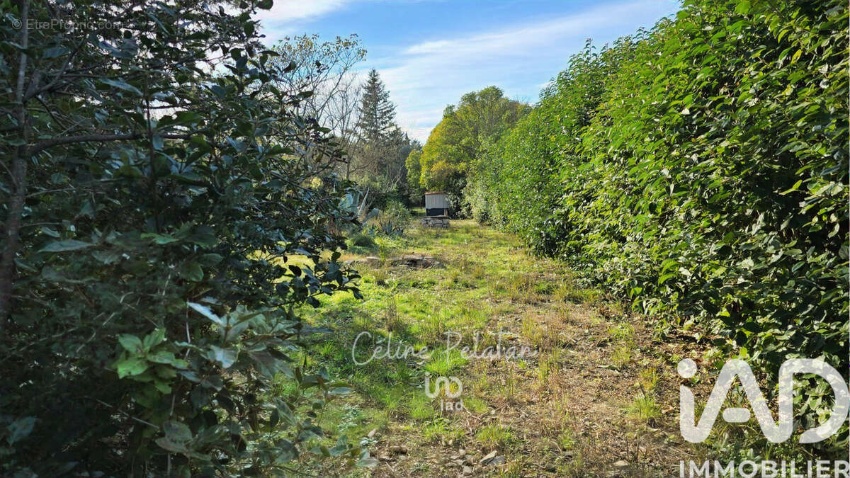 Photo 8 - Terrain à AUBAIS