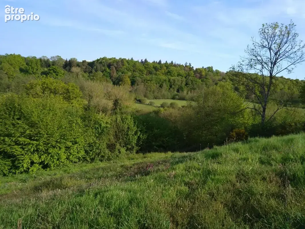 Terrain 3668 m² à La Trinite-De-Reville  - photo 3