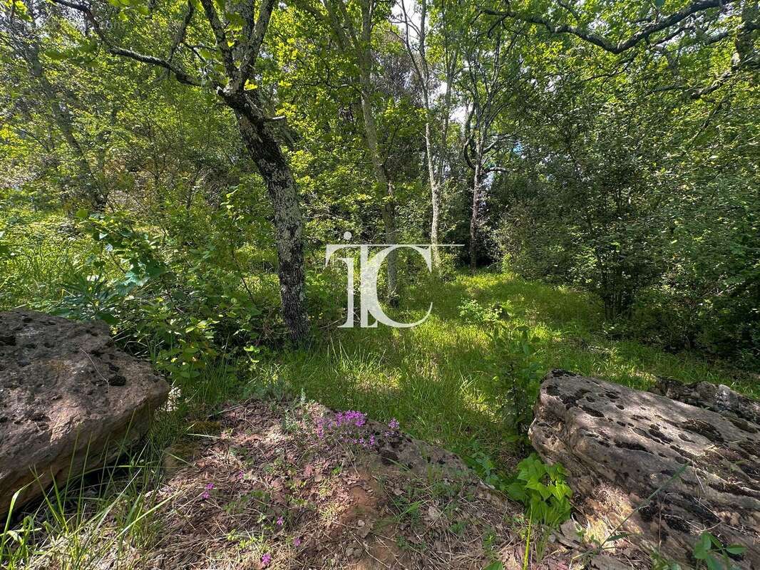 Terrain à MOLIERES-SUR-CEZE