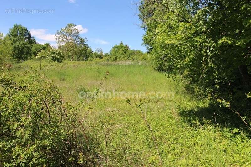 Terrain à DONNEMARIE-DONTILLY