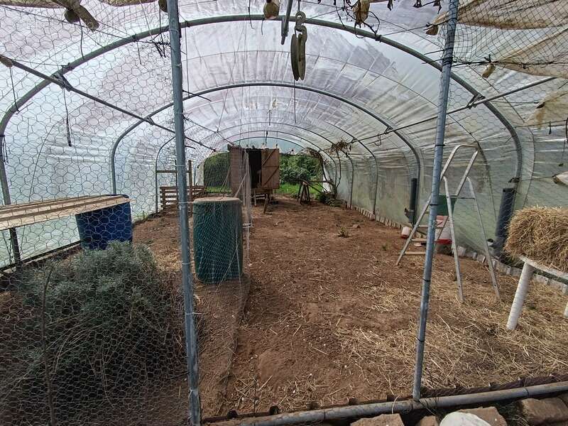  Écolieu en centre bourg - 2,4 ha - Scaër - photo 20