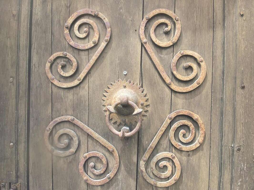 IMG8243 2 - Maison à SAINT-CYPRIEN