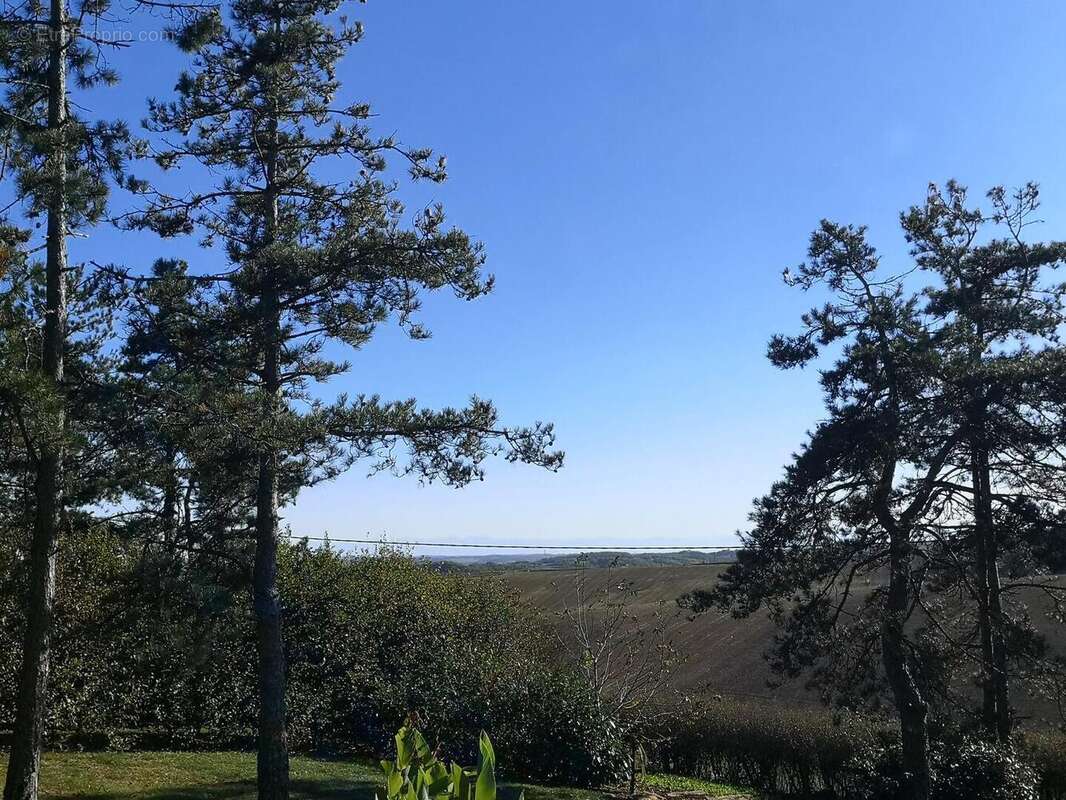 IMG20251028145342 - Maison à MIRANNES