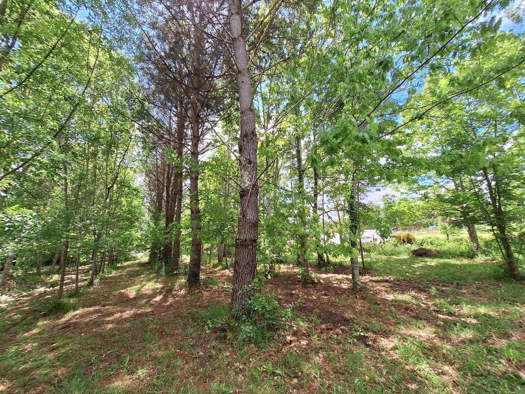 Maison à SERIGNAC-PEBOUDOU