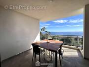 La terrasse de 16m2 sans vis-à-vis. - Appartement à SAN-MARTINO-DI-LOTA