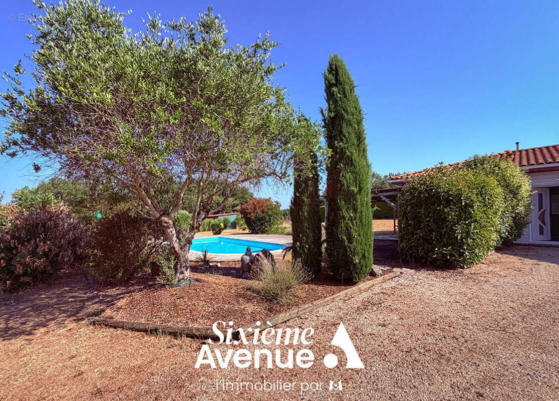 Maison avec piscine, vue panoramique et installations équestres Puycelsi - photo 3