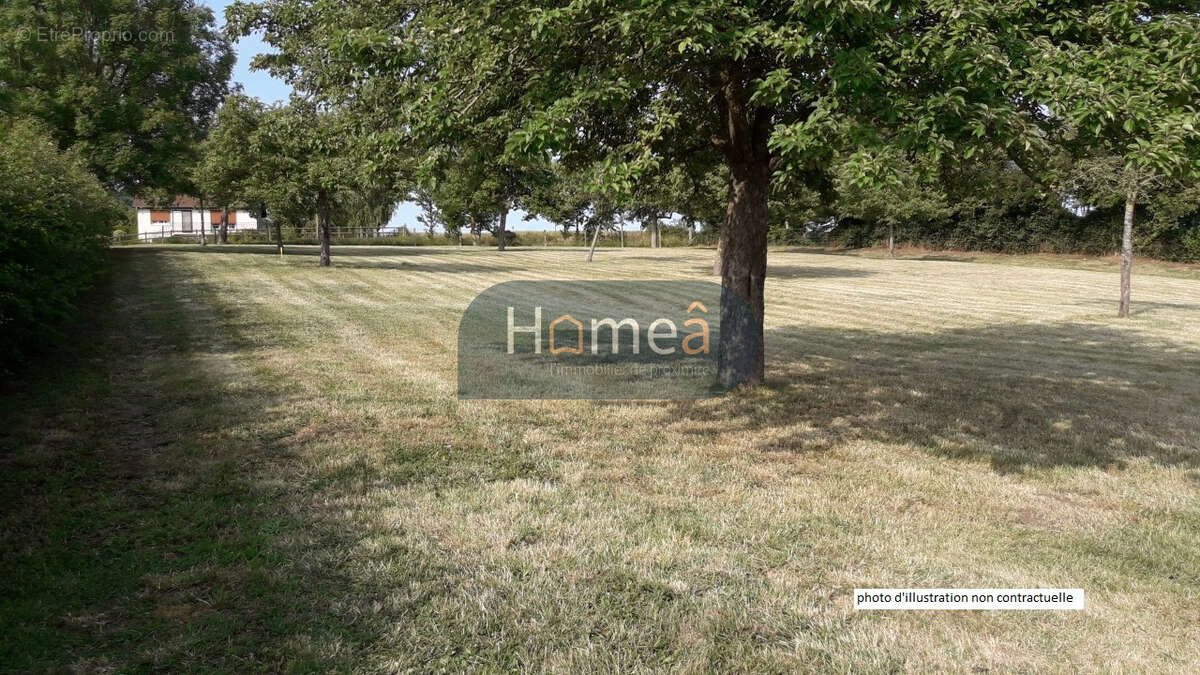 Terrain à BAILLEUL-NEUVILLE