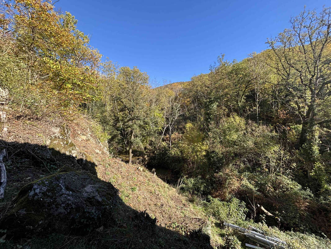 Maison à SAINT-ROMAN-DE-CODIERES