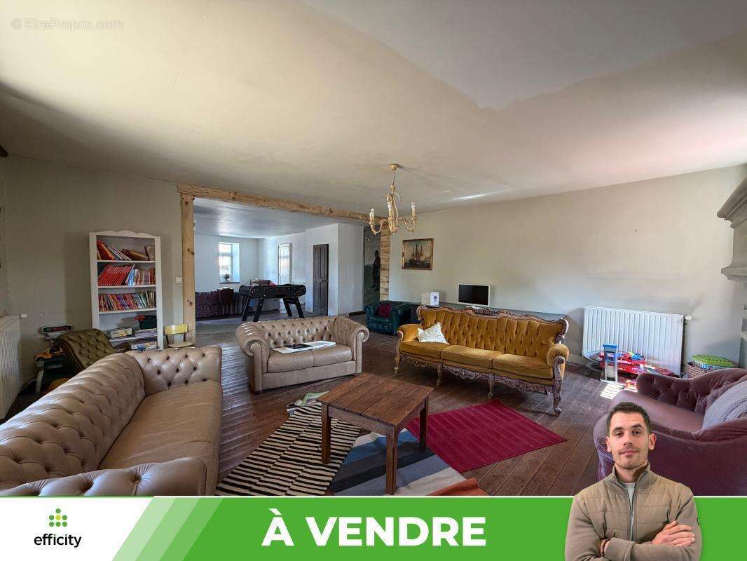 Maison 10 pièces 371 m² à vendre à Availles-Limouzine (86460) - photo 7