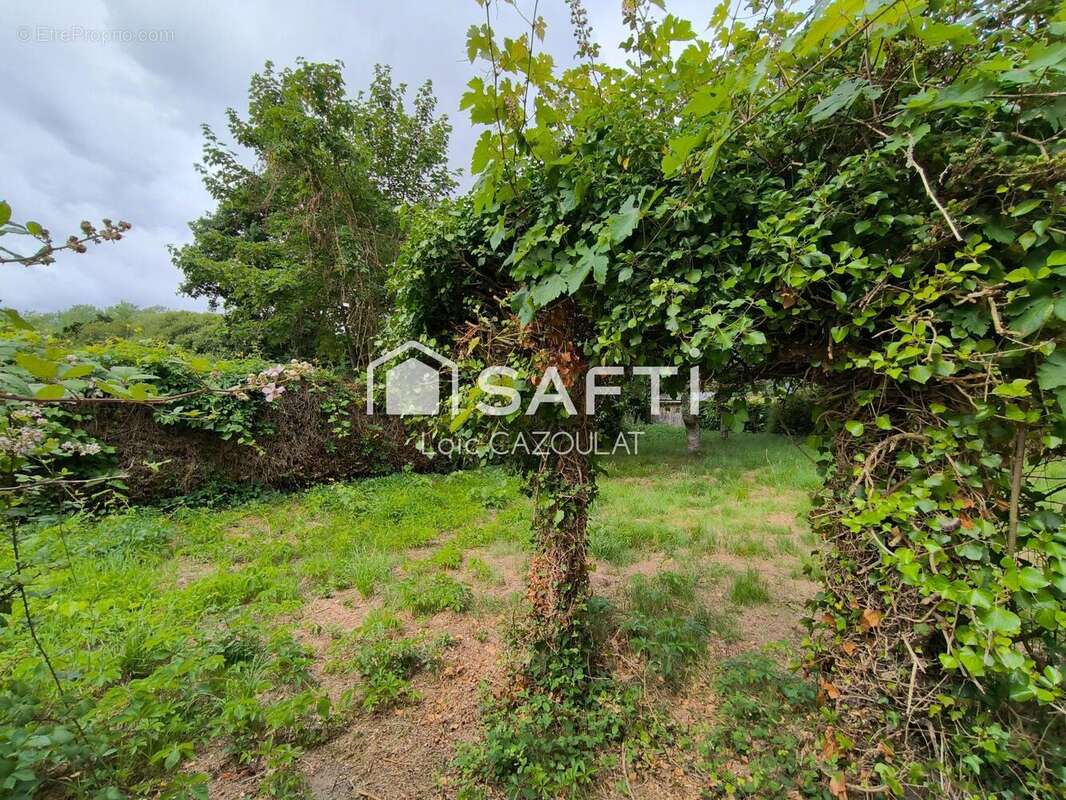 Photo 9 - Maison à MECE