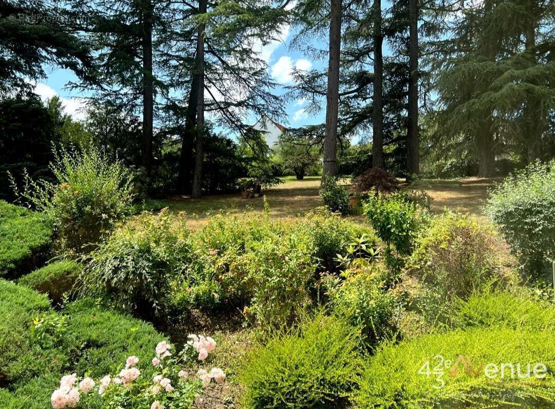 Maison à SAINT-MARTIN-LA-PLAINE