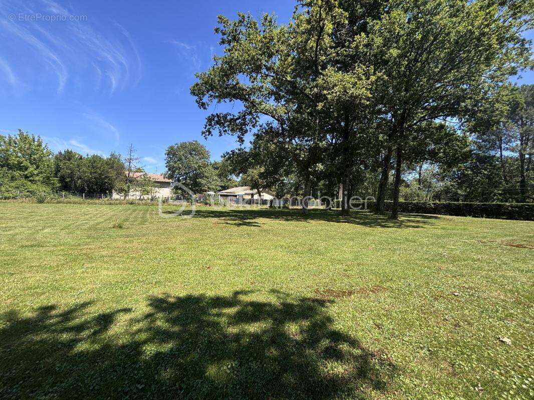 Terrain constructible 1000m2 - photo 2