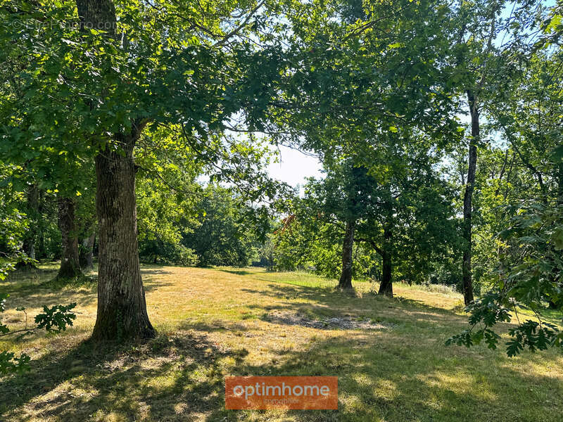 Maison rénovée pleine de charme et de caractère sur son parc boisé d'environ 3 hectares - photo 15