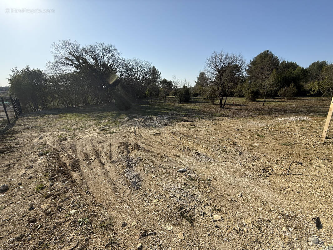 Terrain à ASSAS