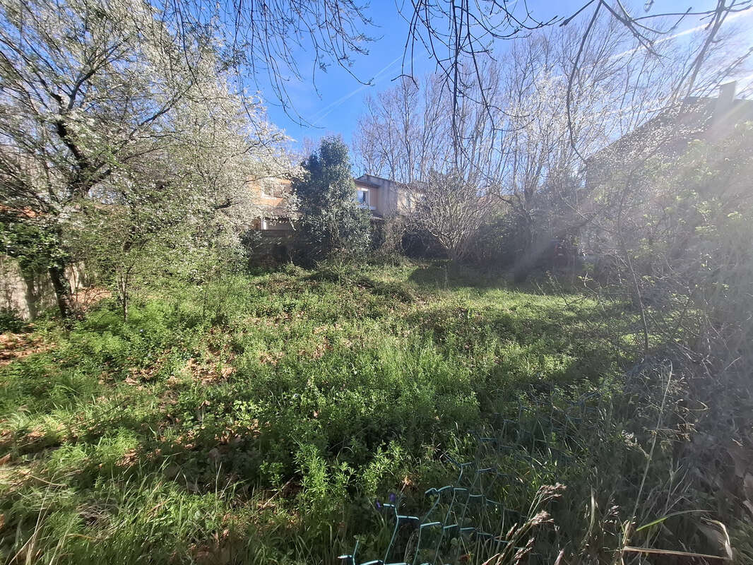 Terrain à SAINT-MARTIN-DE-CRAU