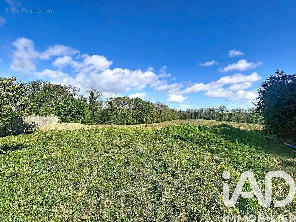 Maison 109 m² à Lanvallay  - photo 6