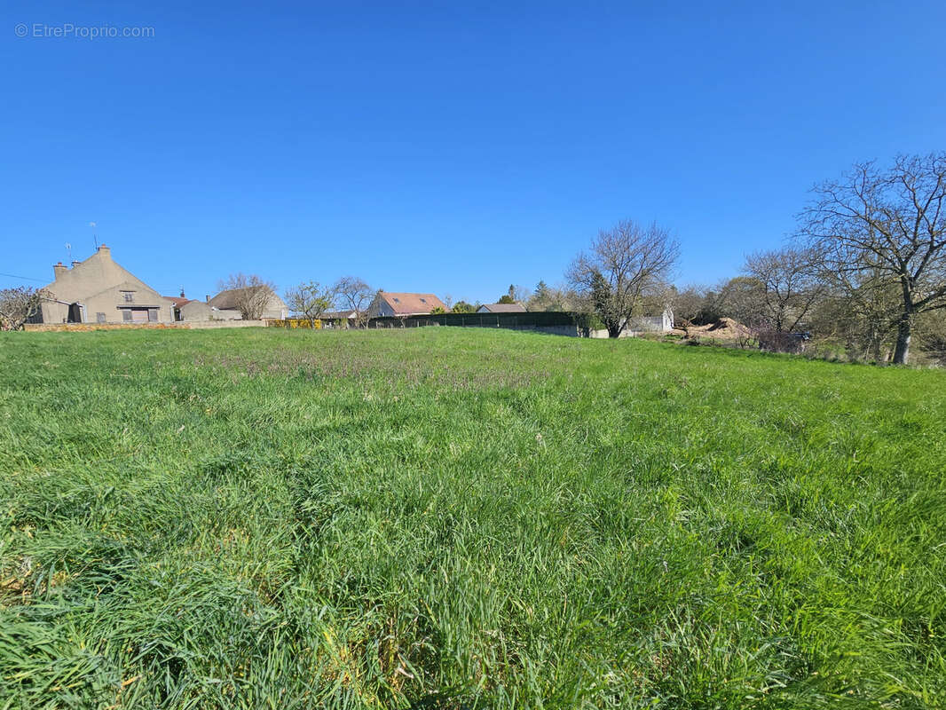Terrain à ALLEREY-SUR-SAONE