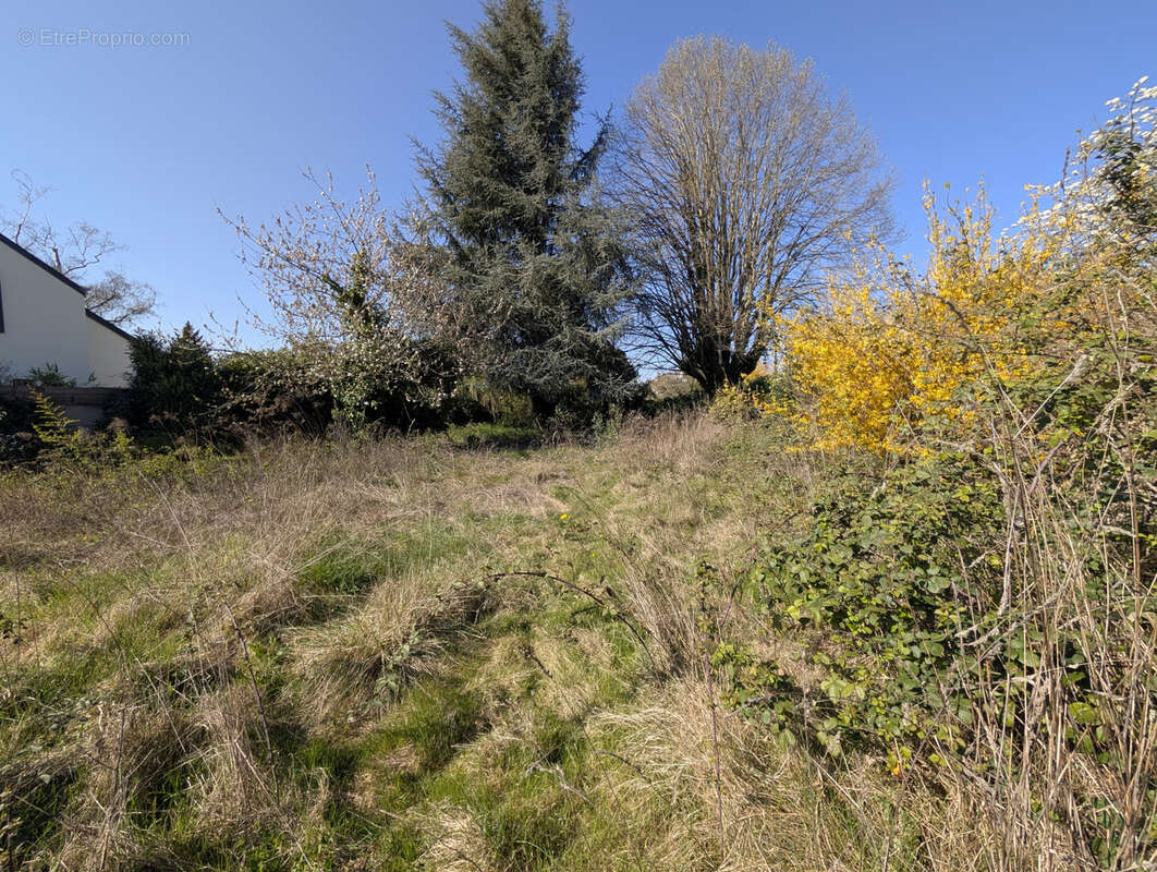 Terrain à ORLEANS