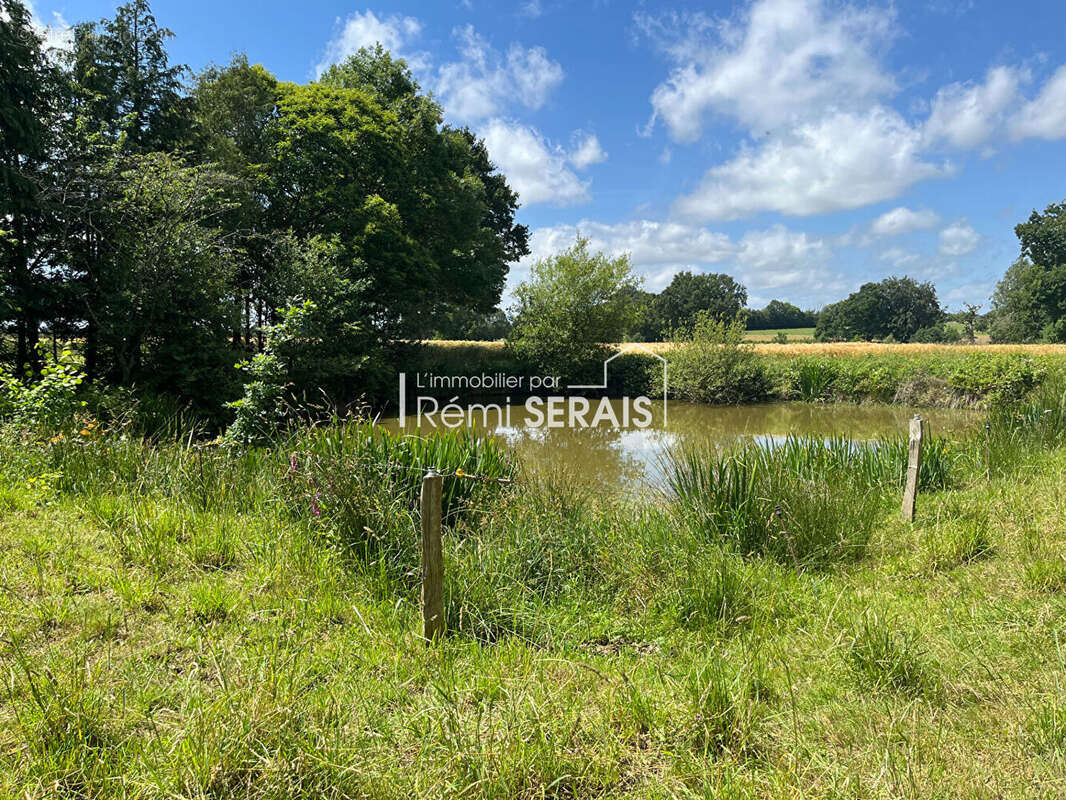 Passais Village : Ancien corps de ferme sans voisinage, dépendances et mare - photo 16