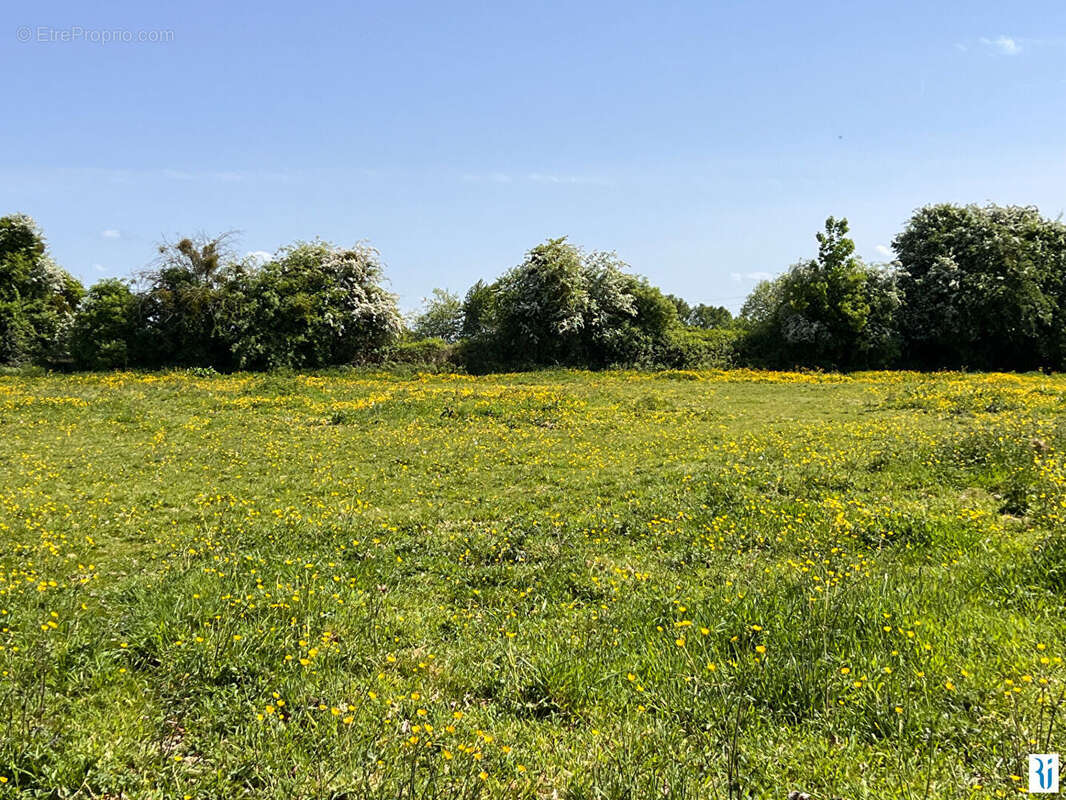 Terrain à ISNEAUVILLE