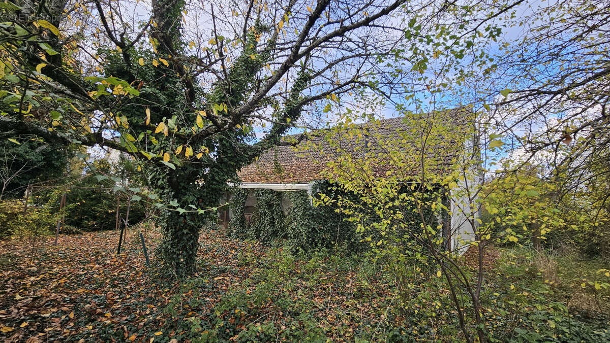 Maison à ERVAUVILLE