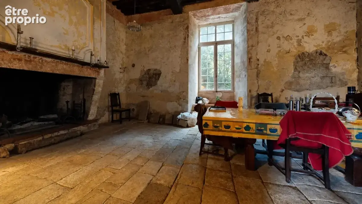Ancien château de 7 pièces de 400 m² à Saint-Savinien - photo 8