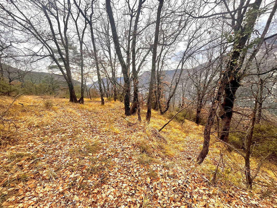 Deux belles parcelles de terrain de loisirs à Clans - photo 7