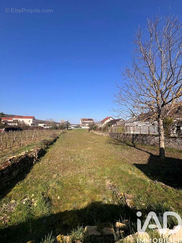 Photo 3 - Terrain à COUCHEY
