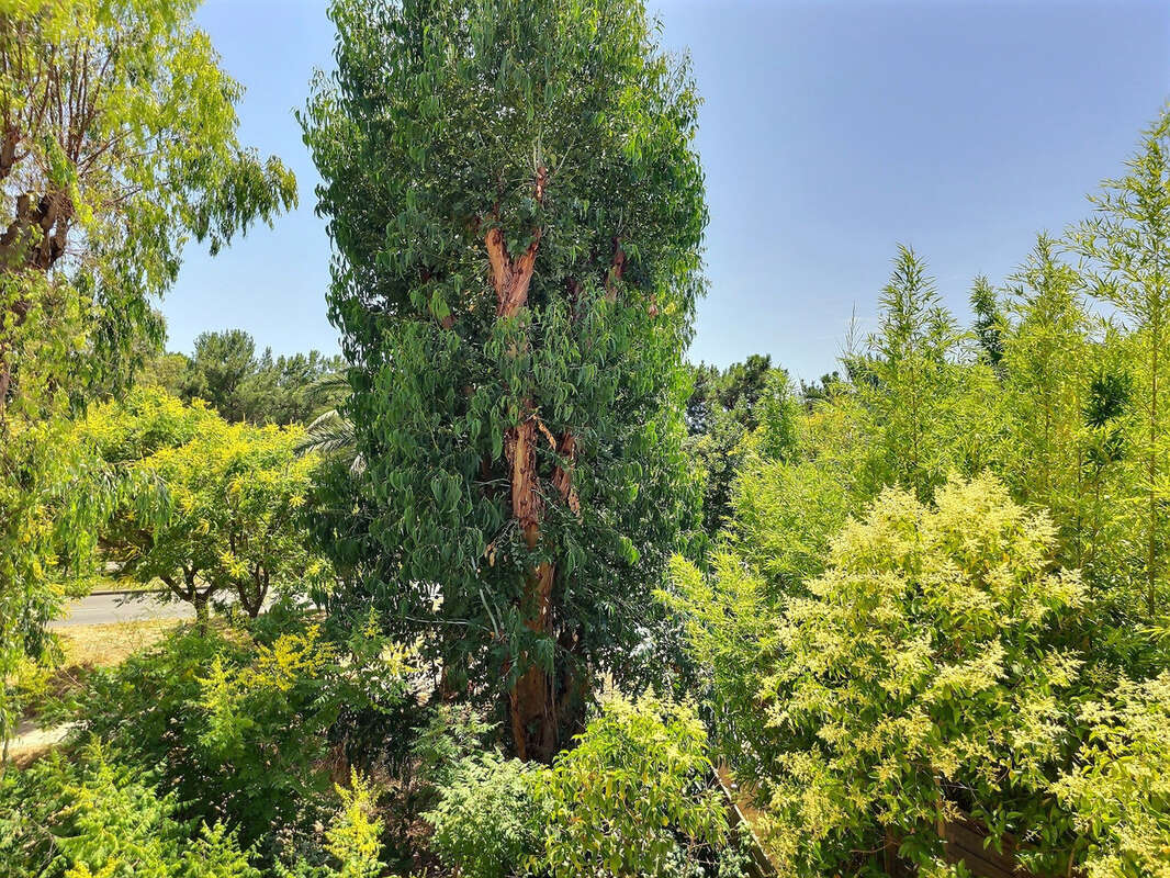 Appartement à HYERES