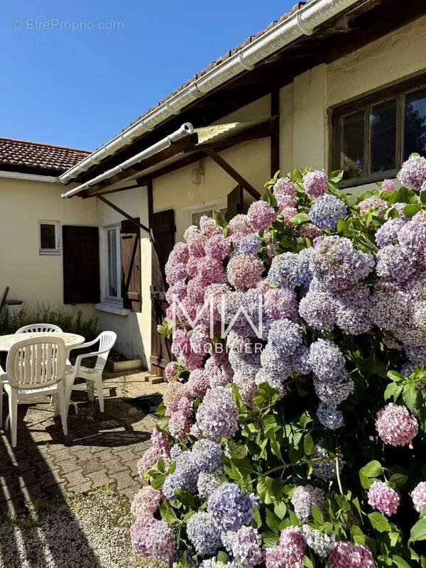 Maison à LEGE-CAP-FERRET