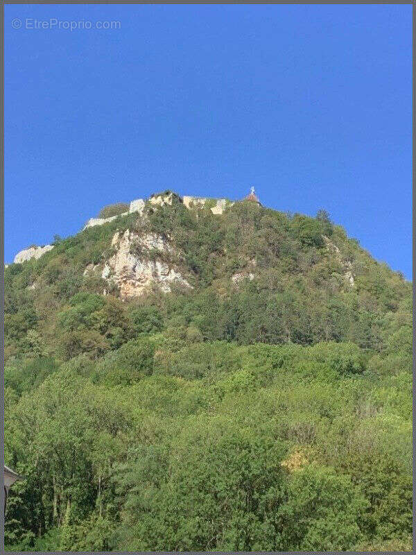 Photo 2 - Maison à SALINS-LES-BAINS