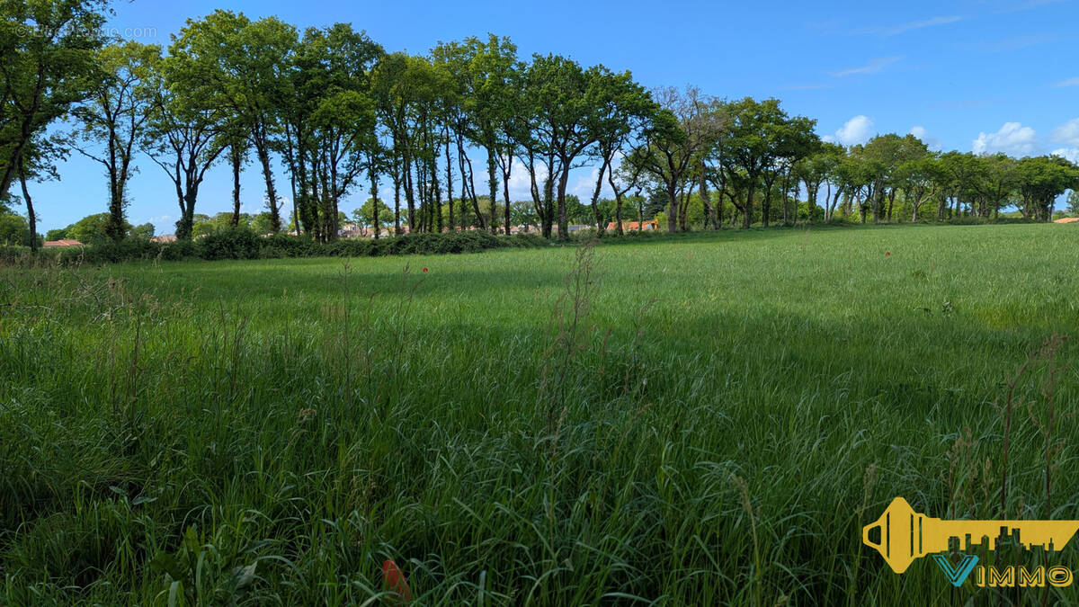 Terrain à SAINT-PERE-EN-RETZ