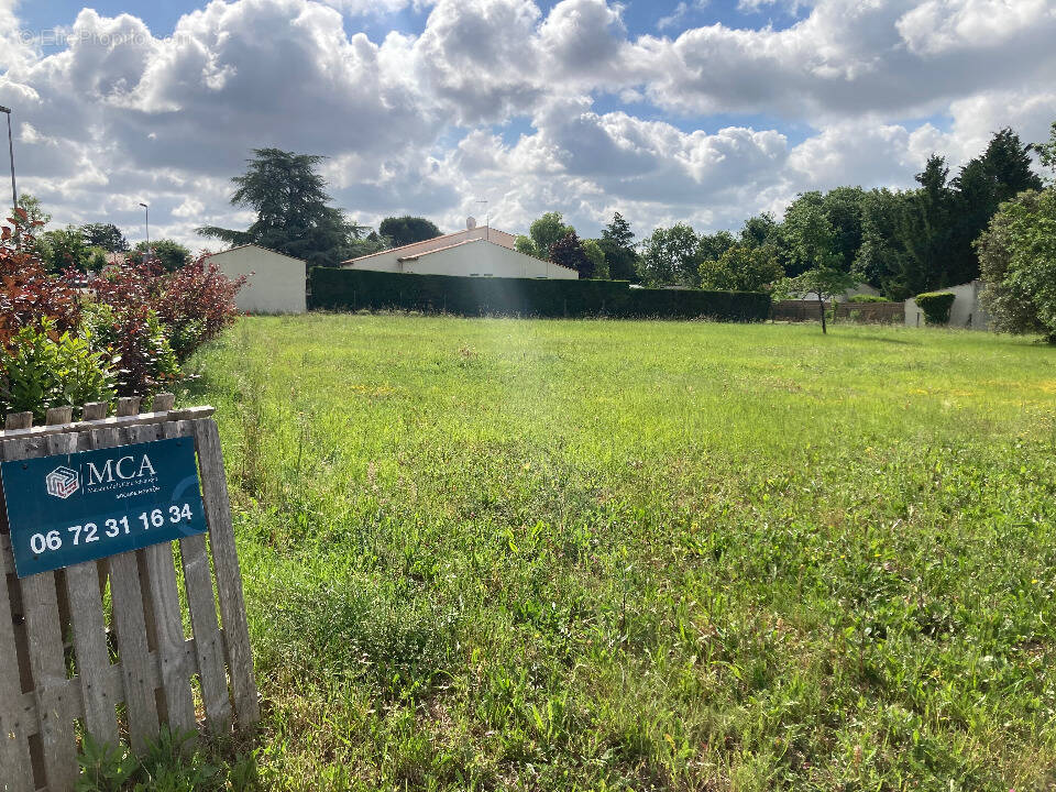 Terrain à SAINT-VAIZE