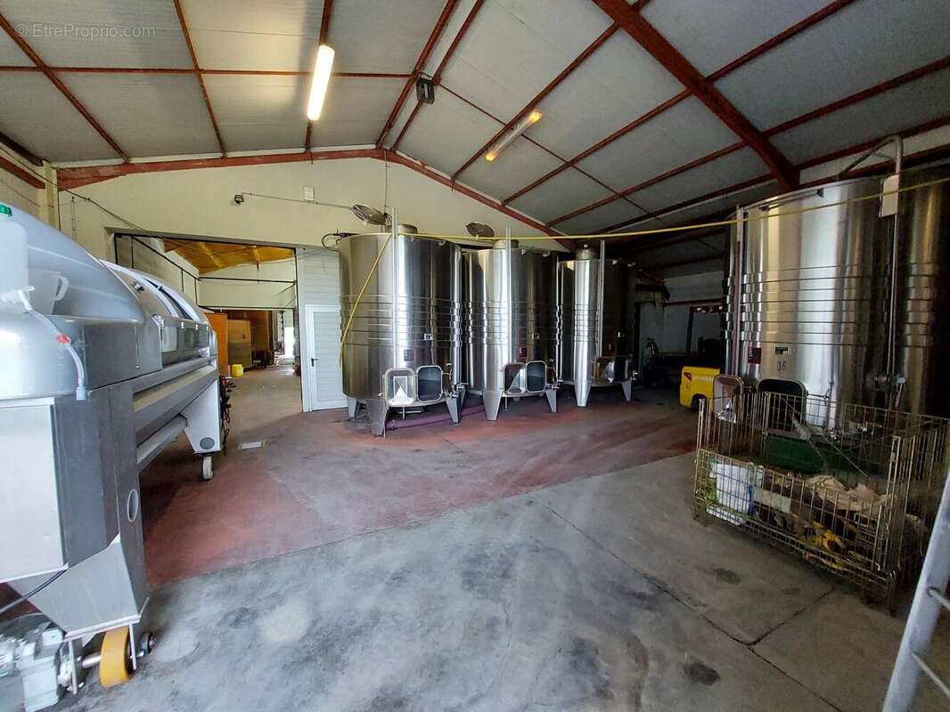 Domaine viticole bio près de Cordes-sur-Ciel - photo 10