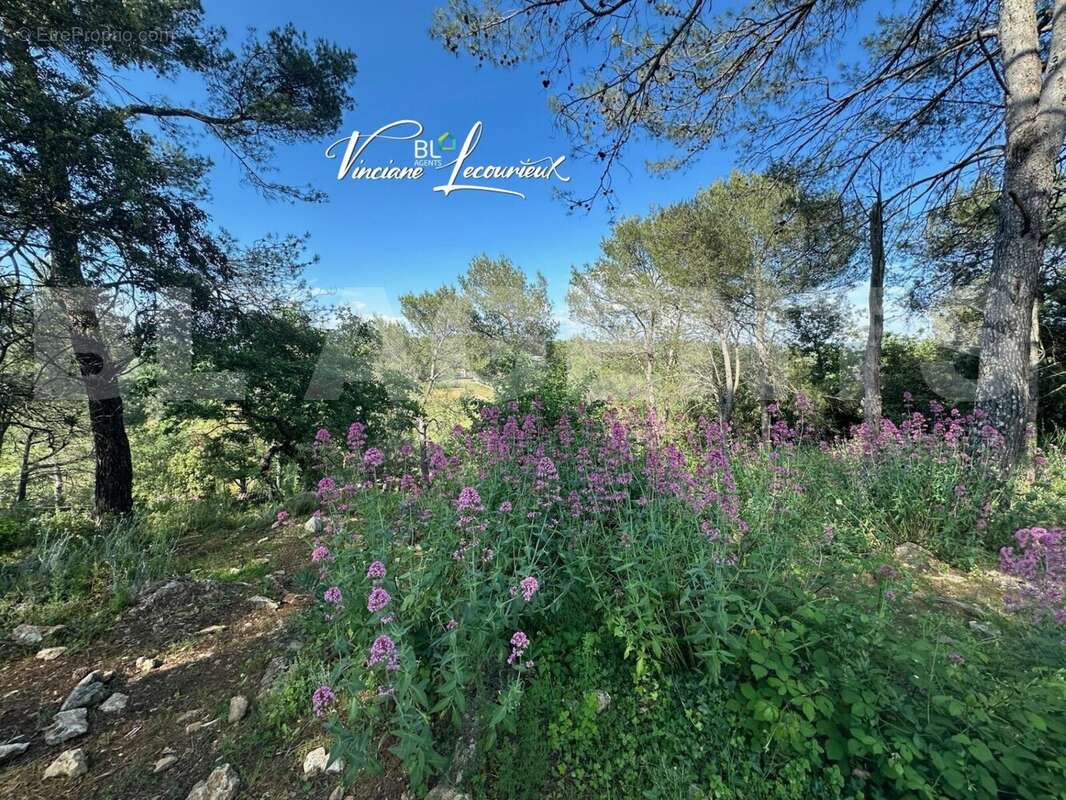 thumbnail_IMG_6770 - Maison à NEOULES