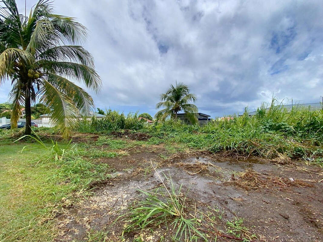 Terrain à CAPESTERRE-BELLE-EAU