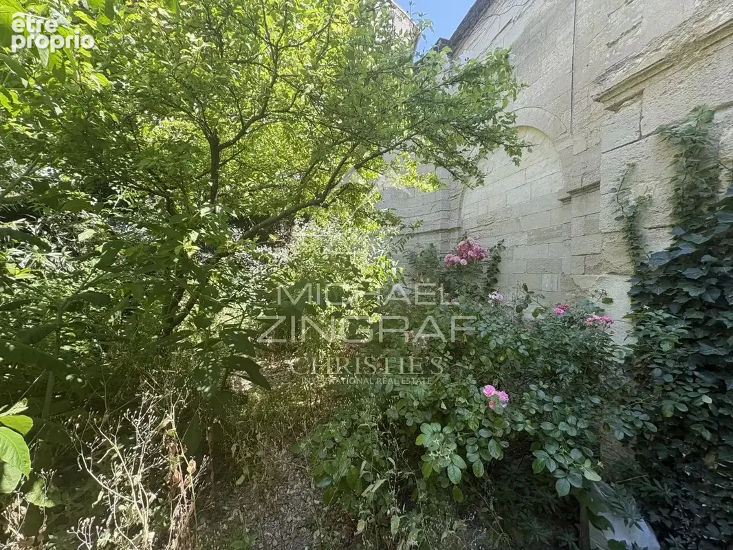 Avignon intra-muros, Ensemble immobilier avec jardin et garage à rénover - photo 2