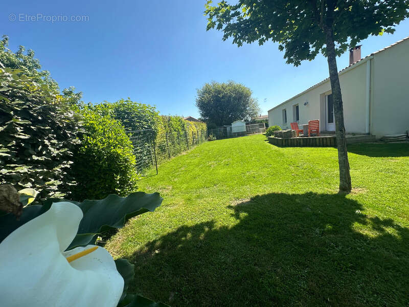 NESMY - Maison 4 chambres 129 m², 931 m² jardin clos - photo 14