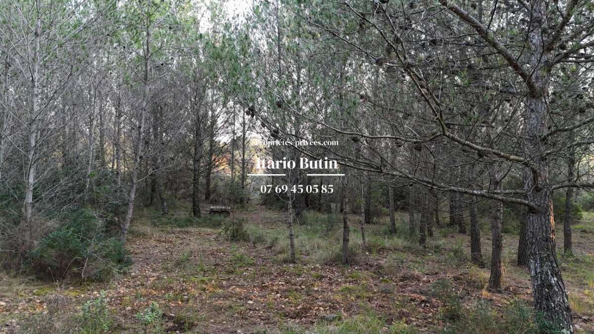 Terrain à CAPESTANG