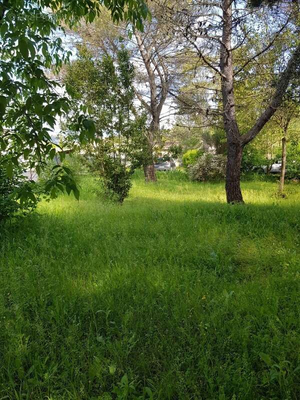 Villa moules et baucels (34) - photo 53