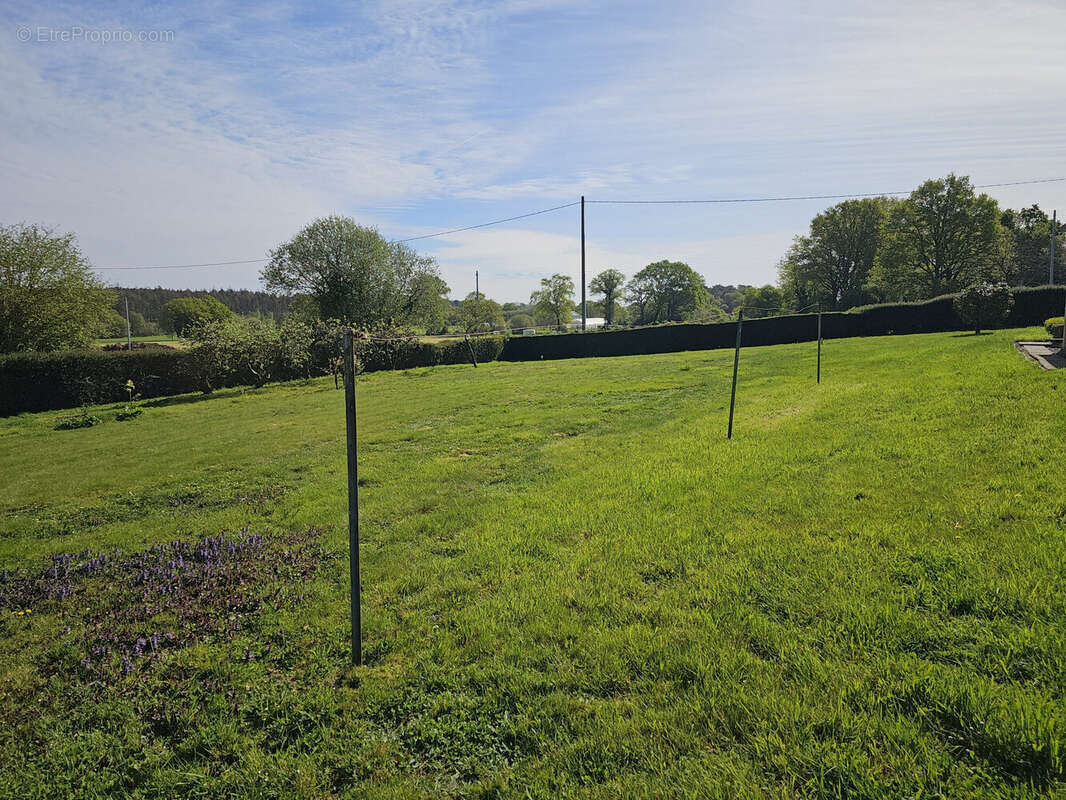Terrain 446 m² à Nivillac  - photo 2