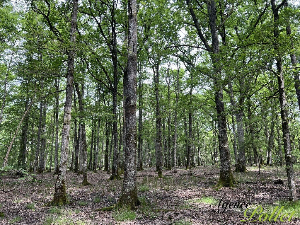 Maison à NEUVY-SUR-BARANGEON