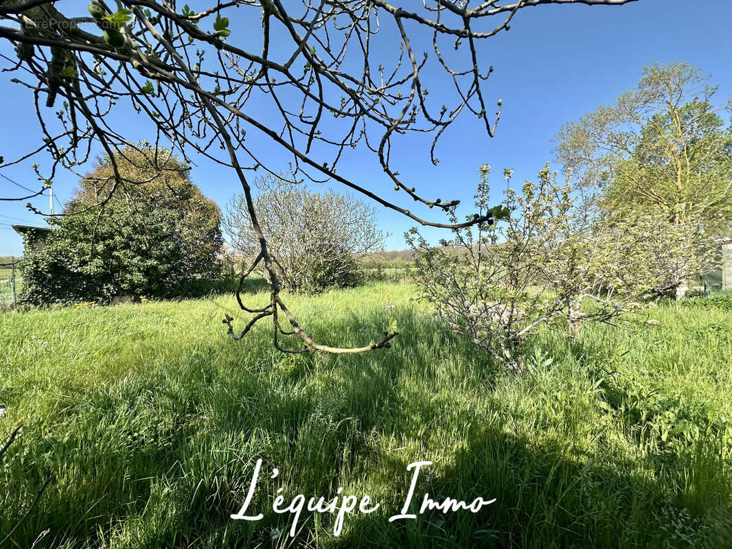 Maison à PLAISANCE-DU-TOUCH