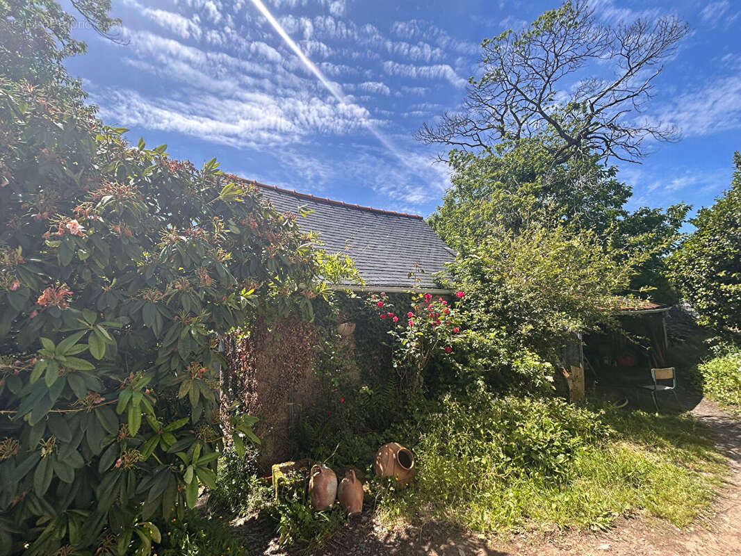 Maison à CHATEAUNEUF-DU-FAOU