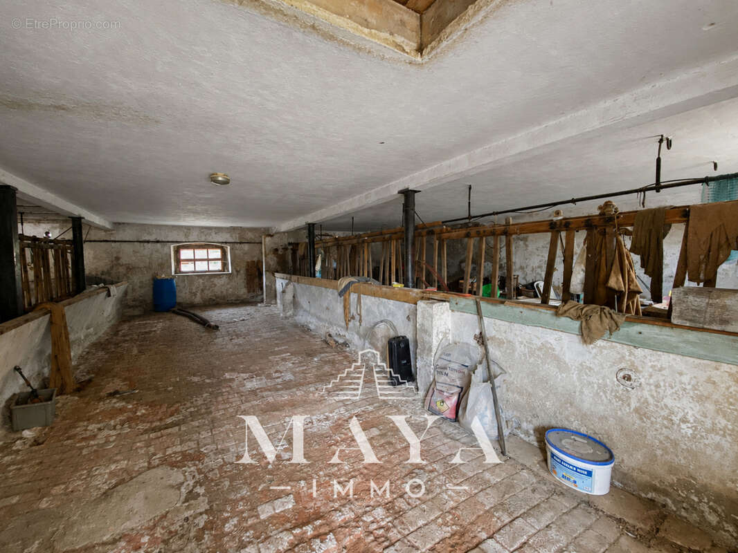 Steinbrunn-Le-Haut, Maison avec dépendance. - photo 20