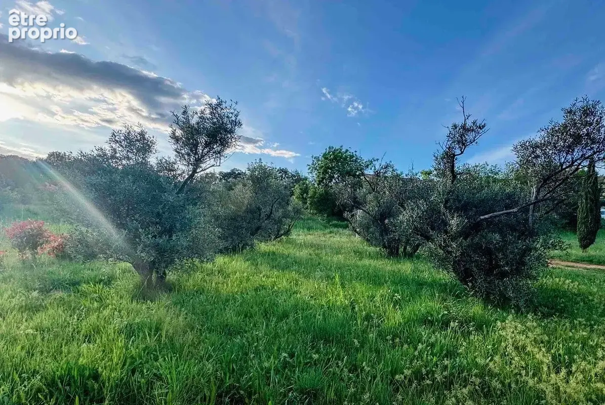 Maison 410 m² à Cebazan  - photo 6